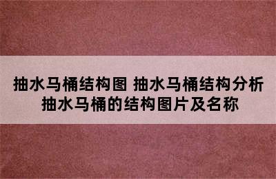 抽水马桶结构图 抽水马桶结构分析 抽水马桶的结构图片及名称